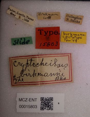 Media type: image;   Entomology 15803 Aspect: labels